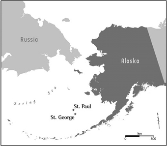 stpaulmap